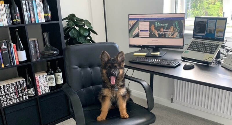 Ozzy in the offer 3